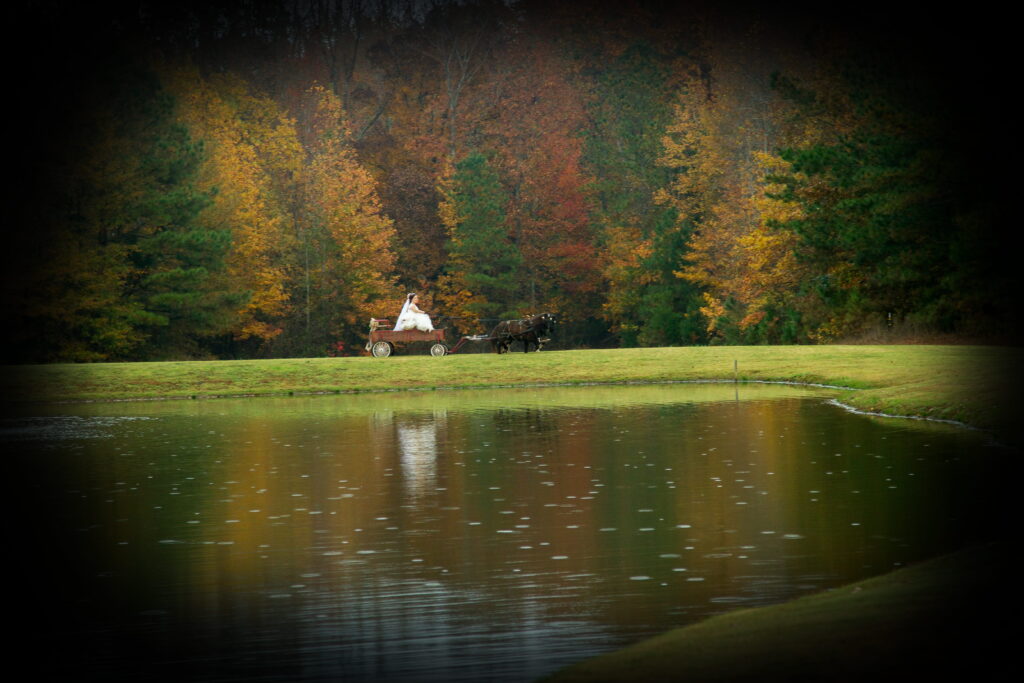 A horse-drawn carriage carrying a rider sits near a tranquil pond, surrounded by vibrant autumn foliage, capturing a peaceful rural scene.