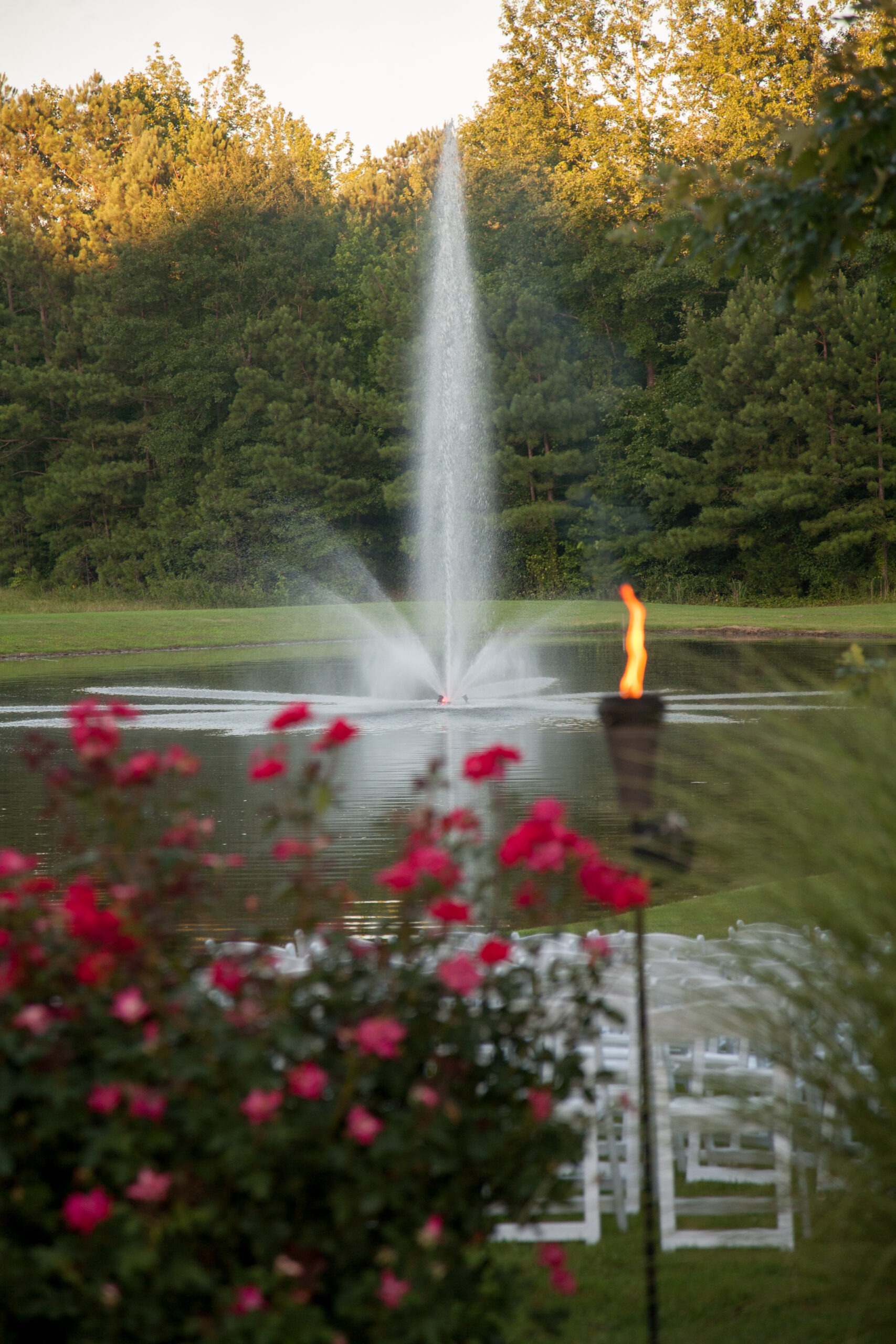 A serene pond features a central fountain, surrounded by blooming roses and white chairs set for an outdoor event. A torch adds ambiance.